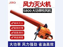  二冲程手提式吹风机大功率森林灭火器